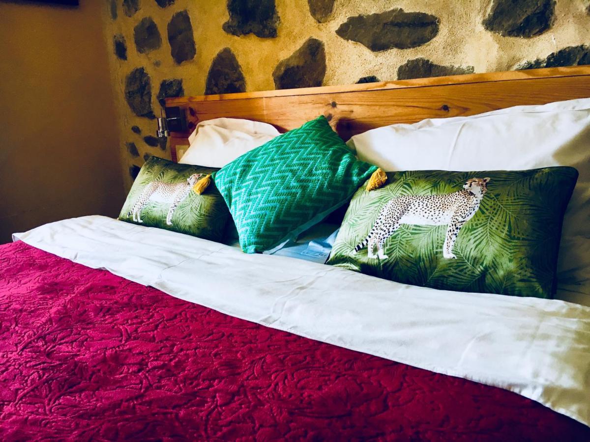 Chambre D'Hotes La Grange Des Ecrins Chabottes Esterno foto